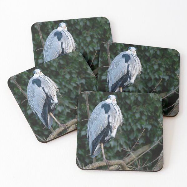 Item preview, Grey Heron (Ardea cinerea) standing on a branch  designed and sold by Stephen Jarman.