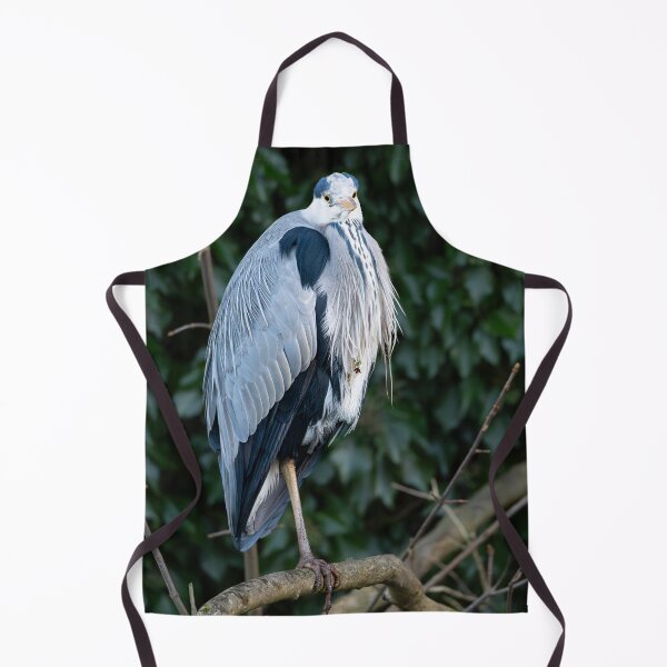 Item preview, Grey Heron (Ardea cinerea) standing on a branch  designed and sold by Stephen Jarman.