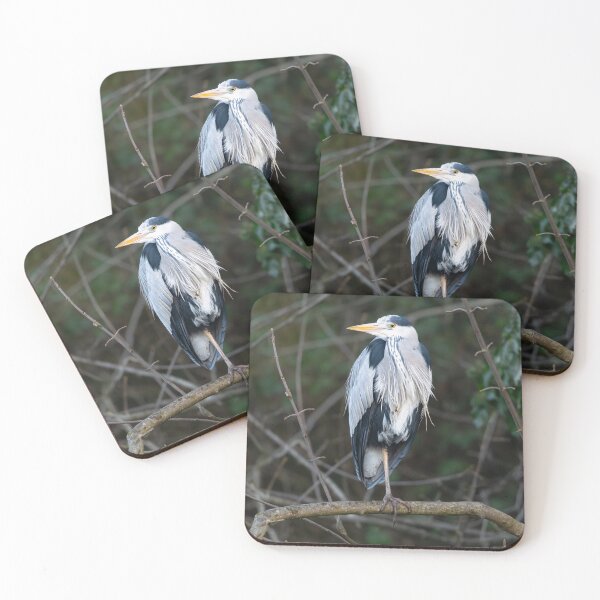 Item preview, Grey Heron (Ardea cinerea) standing on a branch  designed and sold by Stephen Jarman.