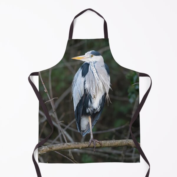 Item preview, Grey Heron (Ardea cinerea) standing on a branch  designed and sold by Stephen Jarman.