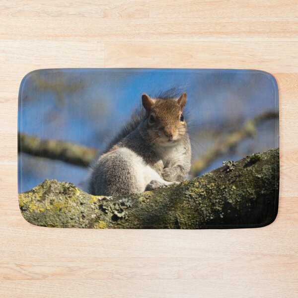 Item preview, Eastern grey squirrel (Sciurus carolinensis) designed and sold by Stephen Jarman.