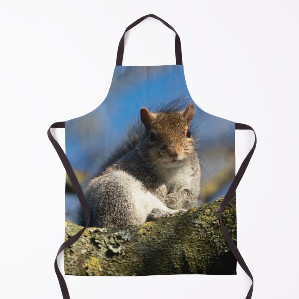Item preview, Eastern grey squirrel (Sciurus carolinensis) designed and sold by Stephen Jarman.
