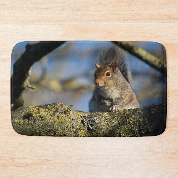 Item preview, Eastern grey squirrel (Sciurus carolinensis) designed and sold by Stephen Jarman.
