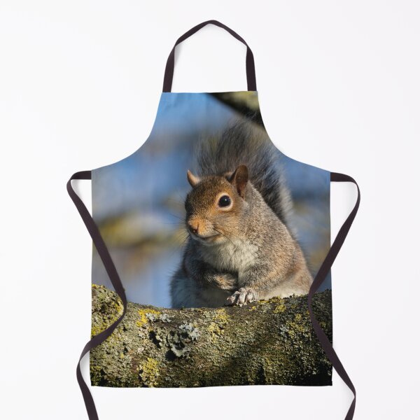 Item preview, Eastern grey squirrel (Sciurus carolinensis) designed and sold by Stephen Jarman.