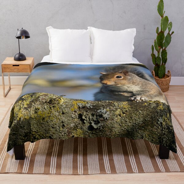 Item preview, Eastern grey squirrel (Sciurus carolinensis) designed and sold by Stephen Jarman.