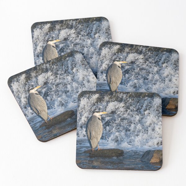 Item preview, Grey Heron (Ardea cinerea) standing in water designed and sold by Stephen Jarman.