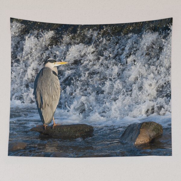 Item preview, Grey Heron (Ardea cinerea) standing in water designed and sold by Stephen Jarman.