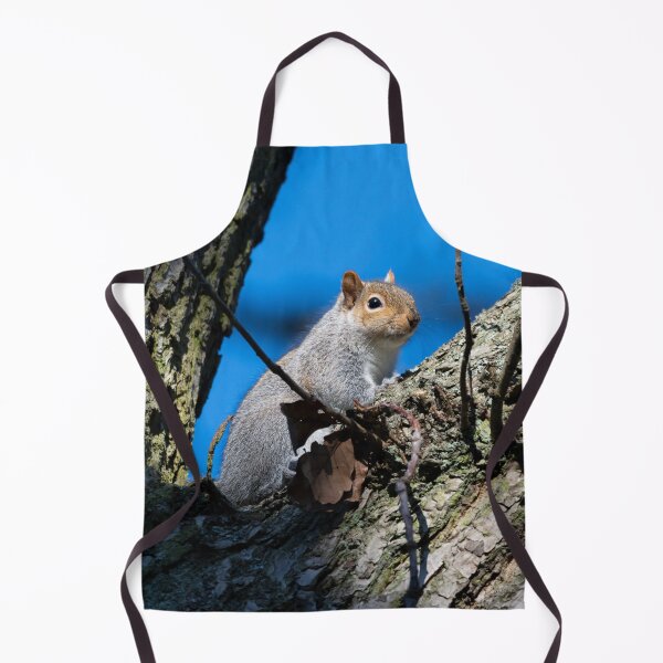 Item preview, Eastern grey squirrel (Sciurus carolinensis) designed and sold by Stephen Jarman.