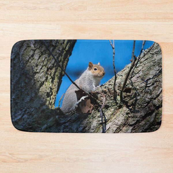 Item preview, Eastern grey squirrel (Sciurus carolinensis) designed and sold by Stephen Jarman.