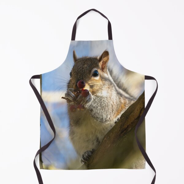 Item preview, Eastern grey squirrel (Sciurus carolinensis) eating berries designed and sold by Stephen Jarman.