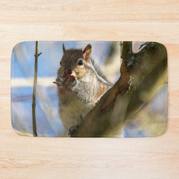 Item preview, Eastern grey squirrel (Sciurus carolinensis) eating berries designed and sold by Stephen Jarman.