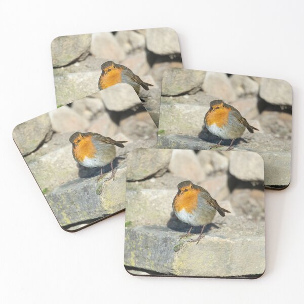 Item preview, Friendly Robin stops to be photographed designed and sold by Stephen Jarman.