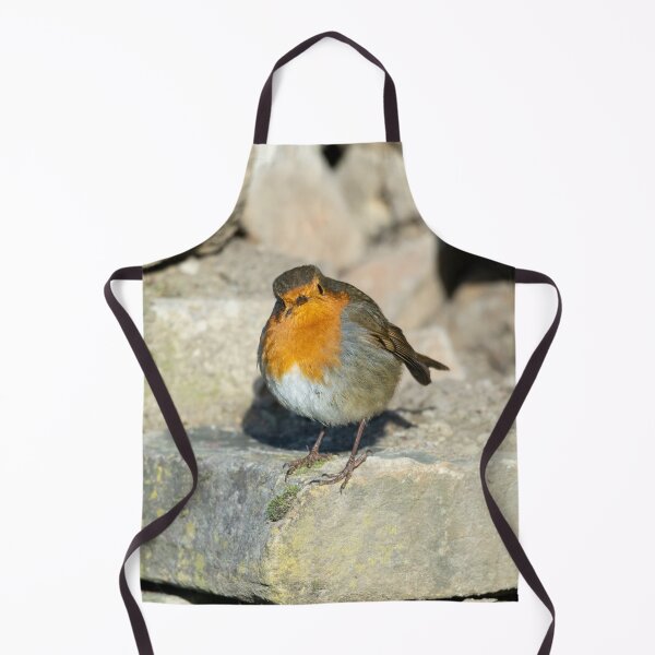 Item preview, Friendly Robin stops to be photographed designed and sold by Stephen Jarman.