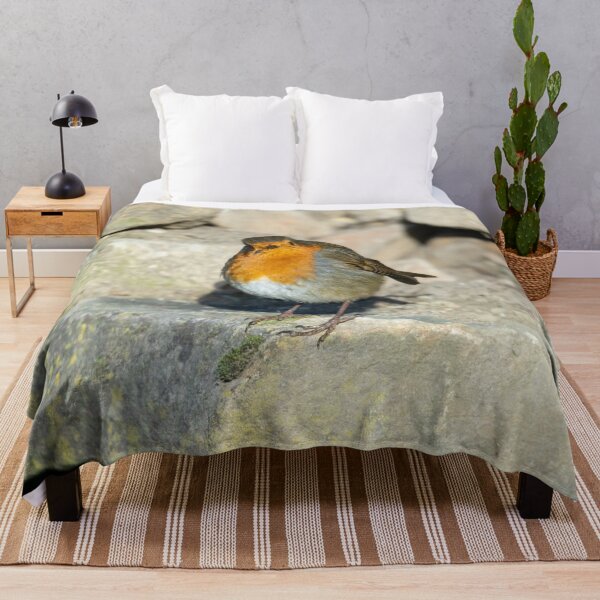 Item preview, Friendly Robin stops to be photographed designed and sold by Stephen Jarman.