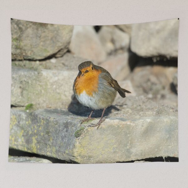 Item preview, Friendly Robin stops to be photographed designed and sold by Stephen Jarman.