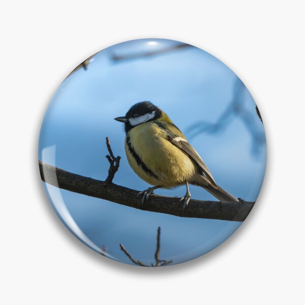Item preview, Great tit stands proud (Parus major) designed and sold by Stephen Jarman.