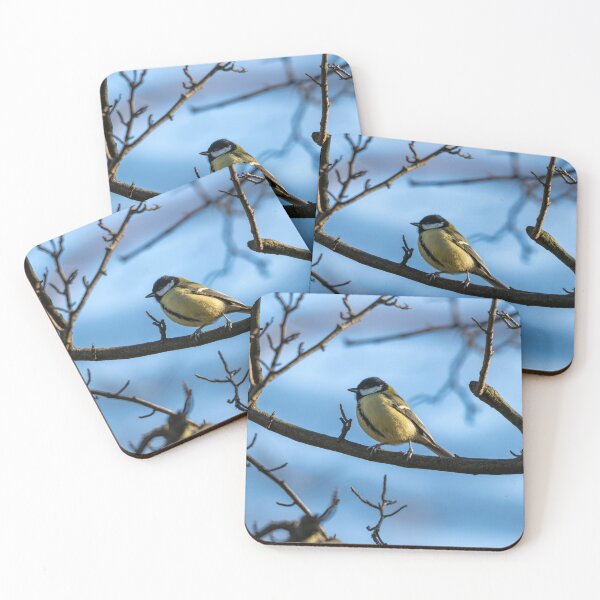 Item preview, Great tit stands proud (Parus major) designed and sold by Stephen Jarman.