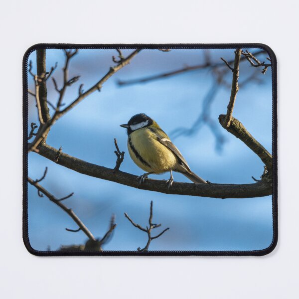 Item preview, Great tit stands proud (Parus major) designed and sold by Stephen Jarman.