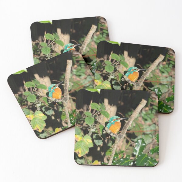 Item preview, Common Kingfisher (Alcedo atthis) perched on a branch designed and sold by Stephen Jarman.