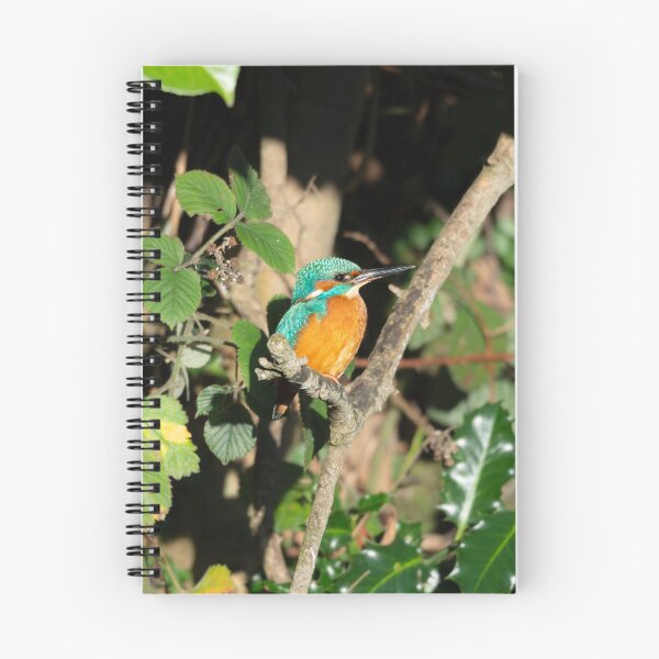 Item preview, Common Kingfisher (Alcedo atthis) perched on a branch designed and sold by Stephen Jarman.