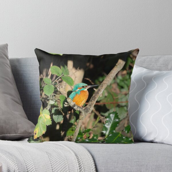 Item preview, Common Kingfisher (Alcedo atthis) perched on a branch designed and sold by Stephen Jarman.