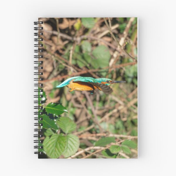 Item preview, Common Kingfisher (Alcedo atthis) flying from it's branch designed and sold by Stephen Jarman.
