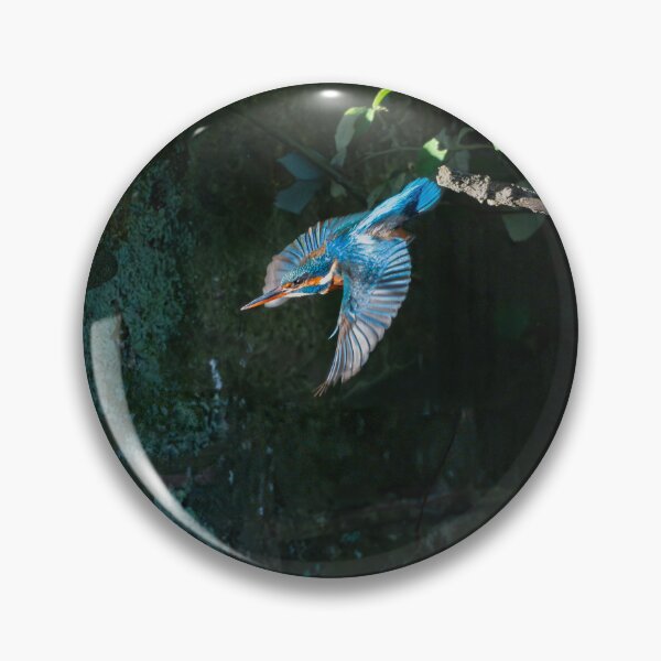 Item preview, Common Kingfisher (Alcedo atthis) diving from it's branch designed and sold by Stephen Jarman.