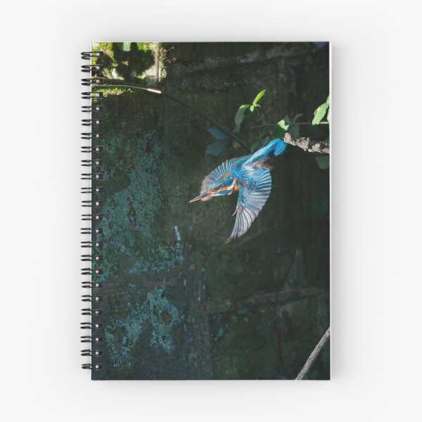 Item preview, Common Kingfisher (Alcedo atthis) diving from it's branch designed and sold by Stephen Jarman.