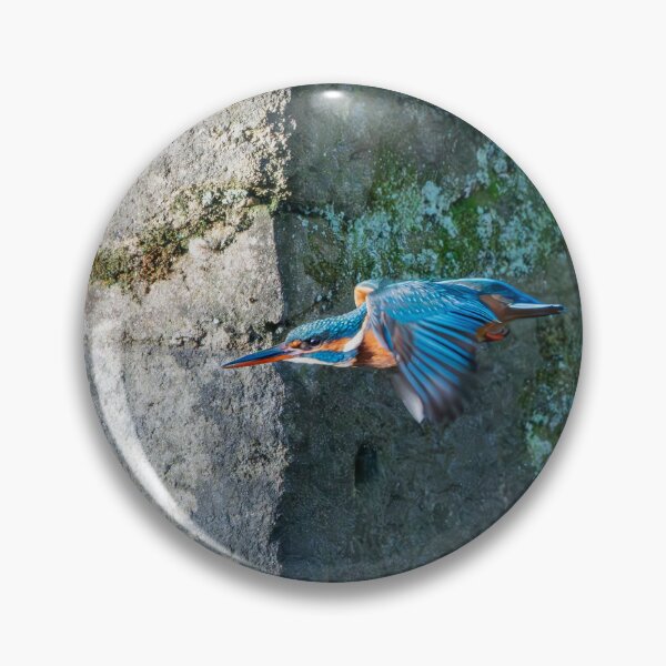 Item preview, Common Kingfisher (Alcedo atthis) flying designed and sold by Stephen Jarman.
