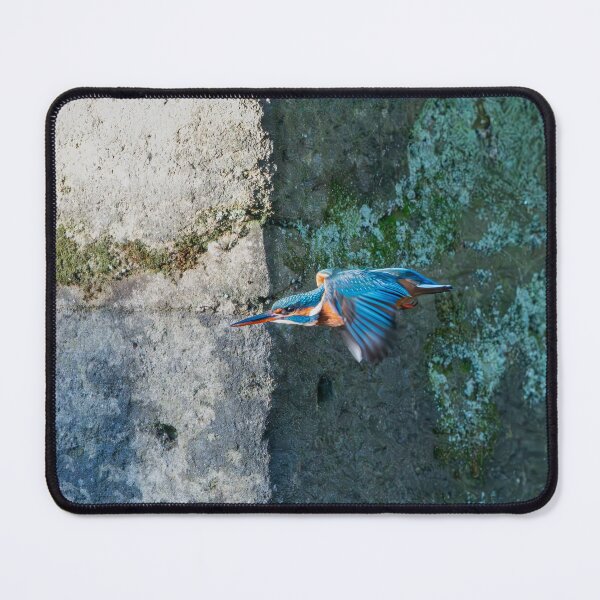 Item preview, Common Kingfisher (Alcedo atthis) flying designed and sold by Stephen Jarman.