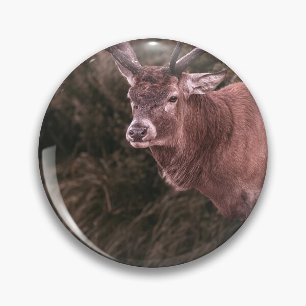 Item preview, Majestic Red Deer Stag in Autumn Forest – Wildlife Photography designed and sold by Sarah – Fine Art & Photography.