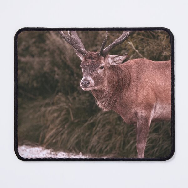 Item preview, Majestic Red Deer Stag in Autumn Forest – Wildlife Photography designed and sold by Sarah – Fine Art & Photography.