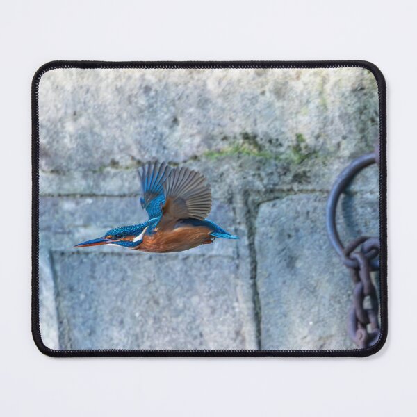 Item preview, Common Kingfisher (Alcedo atthis) flying designed and sold by Stephen Jarman.