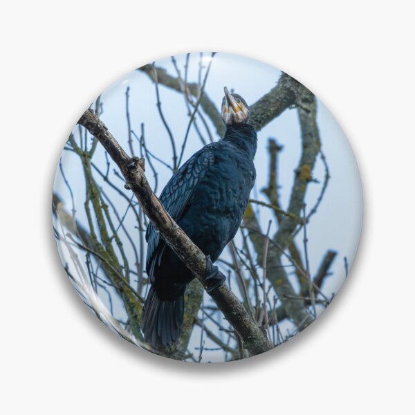 Item preview, Great Cormorant (Phalacrocorax carbo)  designed and sold by Stephen Jarman.
