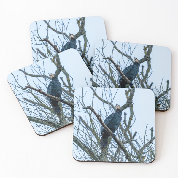 Item preview, Great Cormorant (Phalacrocorax carbo)  designed and sold by Stephen Jarman.