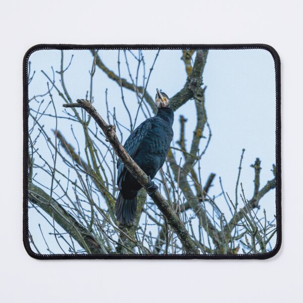 Item preview, Great Cormorant (Phalacrocorax carbo) designed and sold by Stephen Jarman.
