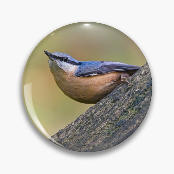 Item preview, Nuthatch (Sitta erupaea) designed and sold by Stephen Jarman.