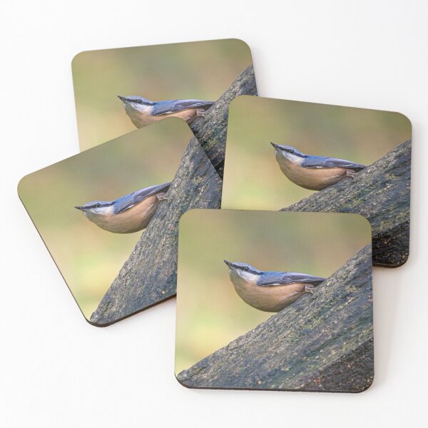 Item preview, Nuthatch (Sitta erupaea) designed and sold by Stephen Jarman.