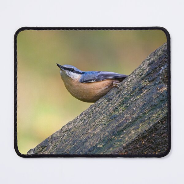 Item preview, Nuthatch (Sitta erupaea) designed and sold by Stephen Jarman.