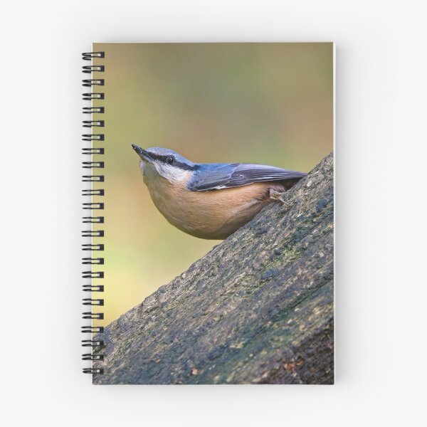 Item preview, Nuthatch (Sitta erupaea) designed and sold by Stephen Jarman.