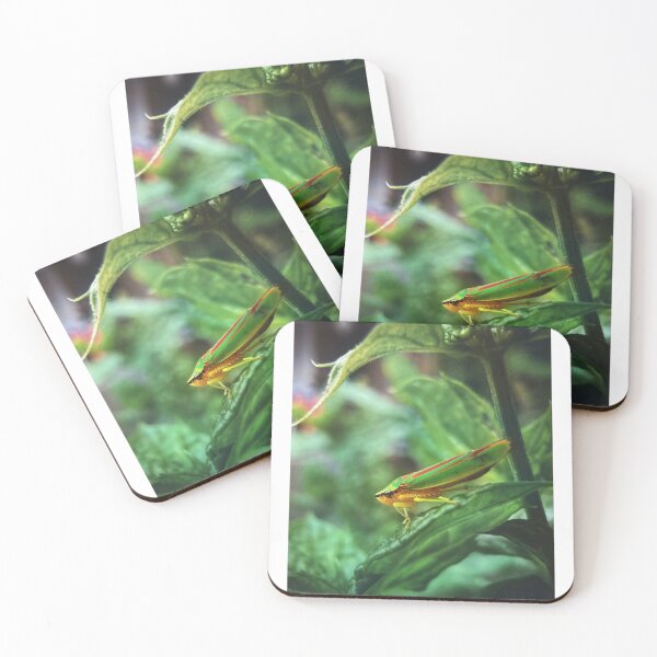 Item preview, Colorful Leafhopper on Green Leaf – Macro Nature Photography designed and sold by Sarah – Fine Art & Photography.