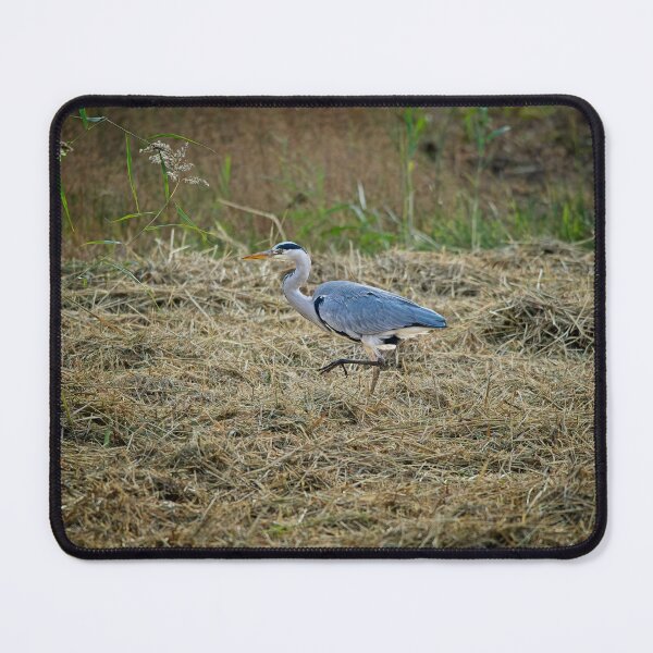 Item preview, Grey Heron (Ardea cinerea) designed and sold by Stephen Jarman.