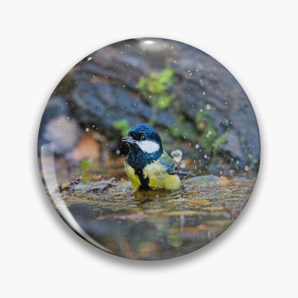 Item preview, Great tit takes a bath (Parus major) designed and sold by Stephen Jarman.