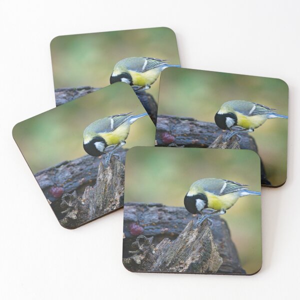 Item preview, Great tit feeding (Parus major) designed and sold by Stephen Jarman.