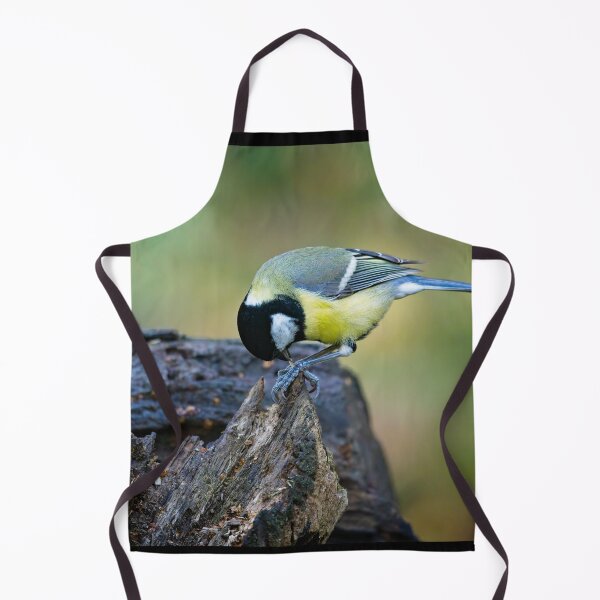 Item preview, Great tit feeding (Parus major) designed and sold by Stephen Jarman.