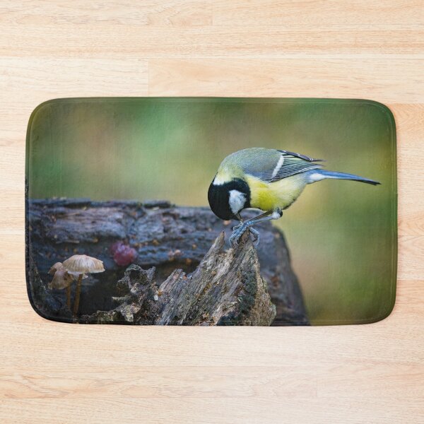 Item preview, Great tit feeding (Parus major) designed and sold by Stephen Jarman.