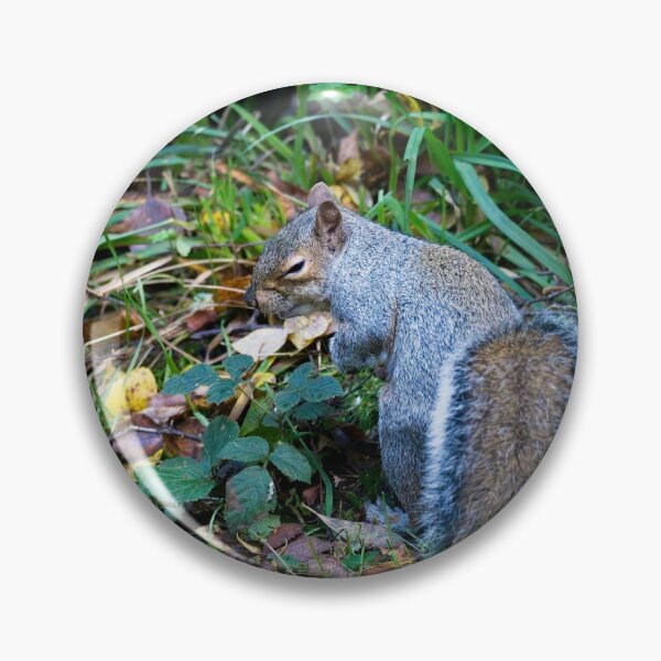 Item preview, Sneaky Eastern grey squirrel! (Sciurus carolinensis) designed and sold by Stephen Jarman.
