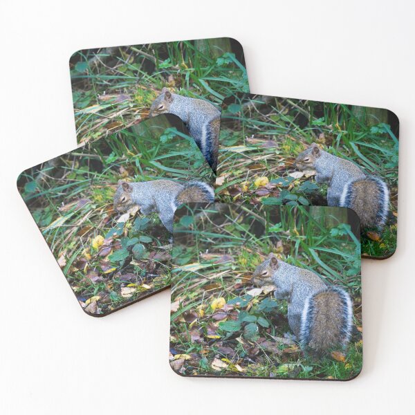 Item preview, Sneaky Eastern grey squirrel! (Sciurus carolinensis) designed and sold by Stephen Jarman.