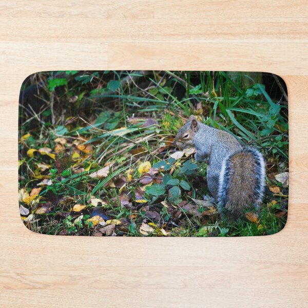 Item preview, Sneaky Eastern grey squirrel! (Sciurus carolinensis) designed and sold by Stephen Jarman.