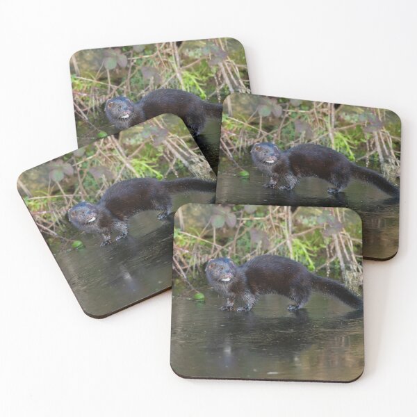 Item preview, American mink (Neovison vison) designed and sold by Stephen Jarman.